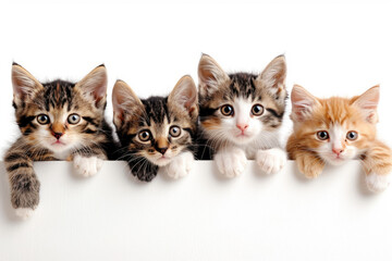 Four Adorable Kittens Peeking Over a White Surface