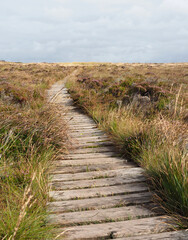 Landscape. Orkney Islands. Scotland