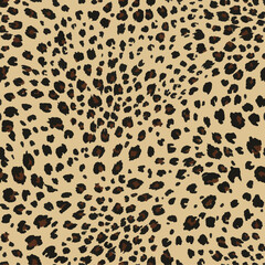 
leopard print