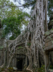Angkor Wat Buddhist temple in Siem Reap Cambodia.