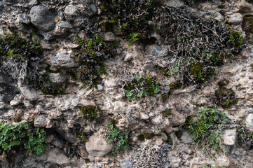 texture of a stone on a mountain with grass and moss close-up