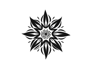 Obraz premium Beautiful vintage minimalist flower illustration art.