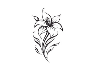 Beautiful minimalist flower illustration art.