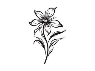 Beautiful minimalist flower illustration art.