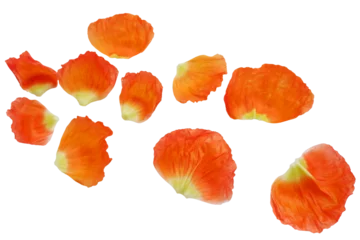 Fototapeten vivid orange color poppy flower petals collection. Flower petals collection for spring and floral design.  © Lala