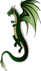 green dragon vector