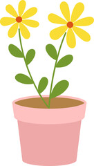 Obraz premium Daisy potted plant vector. Spring outdoor gardening potted plants vector illustration.