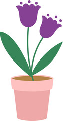 tulip potted plant vector. Spring outdoor gardening potted plants vector illustration.