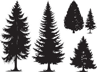 Obraz premium Set Trees. Hand drawn vector illustration 