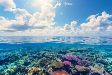 Half underwater split view of a vibrant coral reef and tropical fish in the clear blue ocean with the bright sun shining through the water's surface