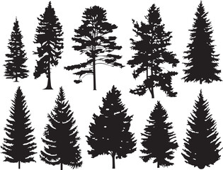 Set Trees. Hand drawn vector illustration	