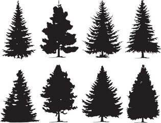 Set Trees. Hand drawn vector illustration	