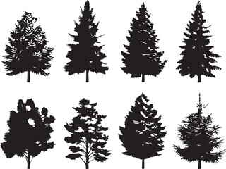 Set Trees. Hand drawn vector illustration	