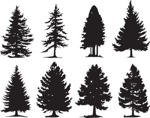 Obraz premium Set Trees. Hand drawn vector illustration 