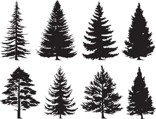 Naklejka premium Set Trees. Hand drawn vector illustration 