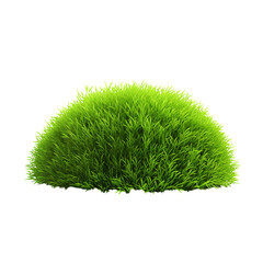 3d rendering green grass clip art