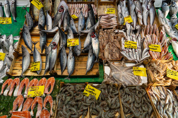 Frozen Symmetrical Fish at Eminonu Fish Market Photo, Eminonu Fatih, Istanbul Turkiye (Turkey)	