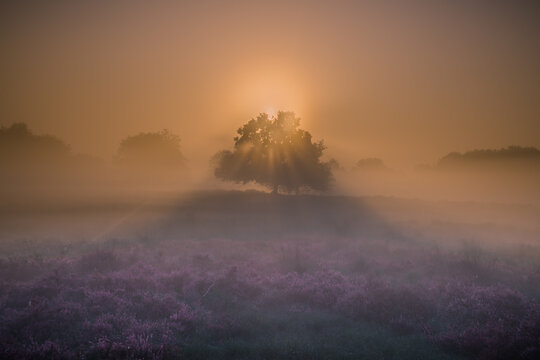 sunrise on a misty morning