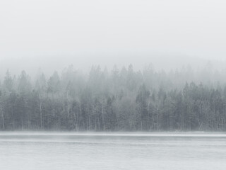 The tranquil scene captures a serene lake shrouded in mist with a dense forest emerging in the...