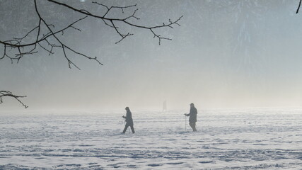 silhouette walks in a fog in winter