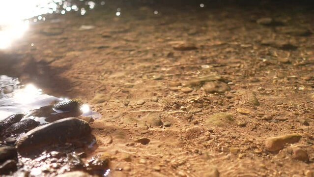 transparent water of the turia river flows at shallow depth with reflections of the sun on the surface