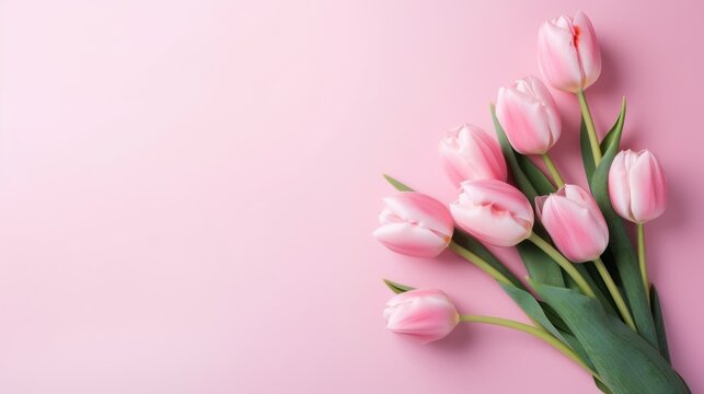 Bouquet of Pink Tulips Set Against a Pastel Pink Background. Ideal for Occasions Like Valentine's Day, Easter, Birthdays, Happy Women's Day, and Mother's Day. Top View and Generous Copy Space. AI.