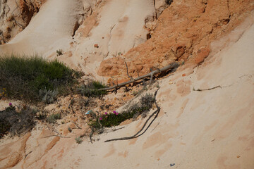 Sandstone walls on the coast weathered