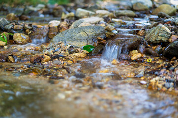 closeup waterfall stream with rocks stones on nature clear motion flow water in natural environment...