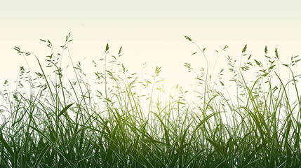 Obraz premium The grassland in spring.