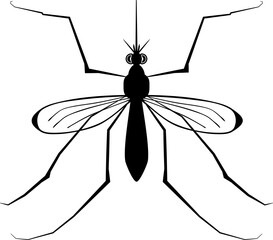 icon of insects like flies, cockroaches, moth bed bugs, spiders,  mosquitoes and termites for pest control companies