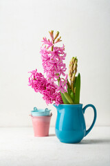 pink hyacinth flowers in a blue jug spring holiday