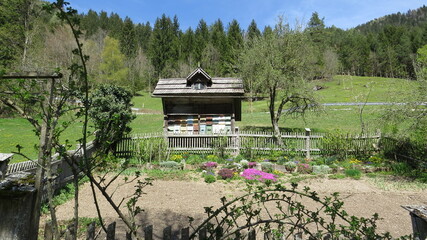 Bee house and garden