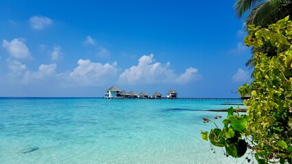 maledives view into the sea