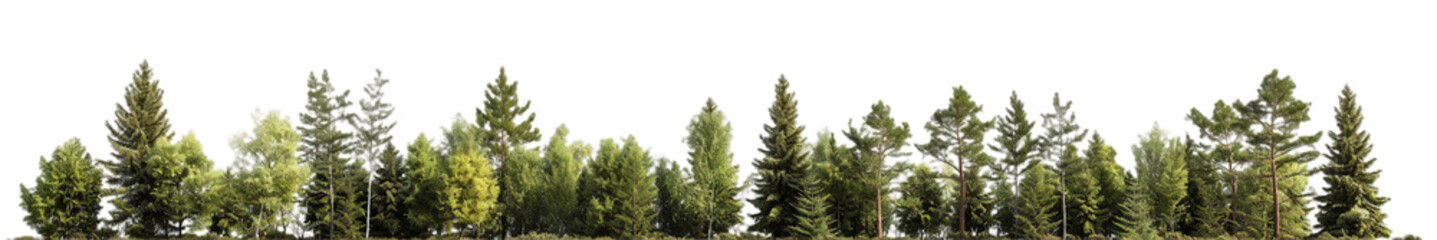 Forest, transparent background, isolated image, generative AI