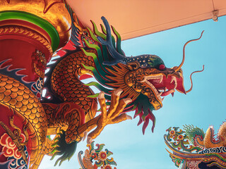 Dragon statue,  dragon symbol, dragon Chinese, is a beautiful Thai and Chinese architecture of...
