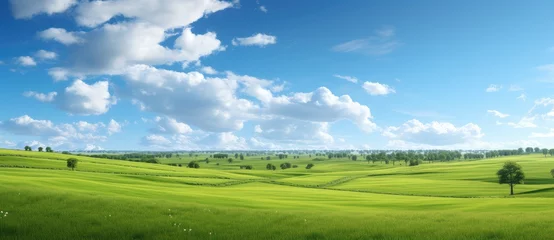 Photo sur Plexiglas Bleu Endless Green Fields: A Serene and Vibrant Landscape Under the Blue Sky - Generative AI