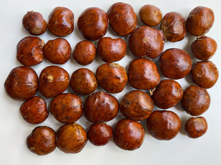 Bean of Archidendron pauciflorum, djenkol, jengkol or blackbead. Isolated on white background, flat lay or top view