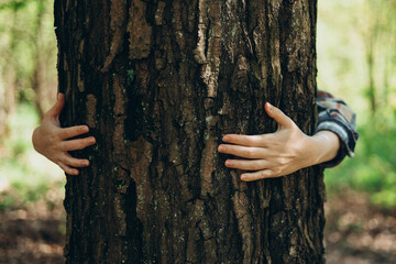 Human hands touches a tree trunk. Bark wood. Wild forest travel. Earth Day. Traveler girl in a...