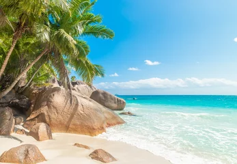 Photo sur Plexiglas Anse Source D'Agent, île de La Digue, Seychelles Palms and rocks by the sea in a tropical beach