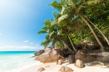 Crédence de cuisine en verre imprimé Anse Source D'Agent, île de La Digue, Seychelles Palm trees and rocks by the sea in a tropical beach