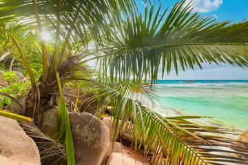 Photo sur Plexiglas Anse Source D'Agent, île de La Digue, Seychelles Palm branches and rocks under a blue sky