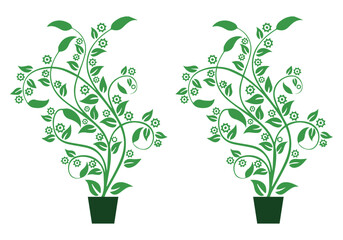 illustration of a green plant and tree