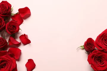 Foto op Aluminium Beautiful red roses and petals on pale pink background, flat lay. Space for text © New Africa