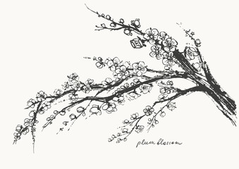 Hand drawn ink brush painting of spring blooming sakura tree branches with flowers