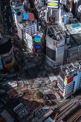 Bird's eye view of Shibuya crossing, Tokyo