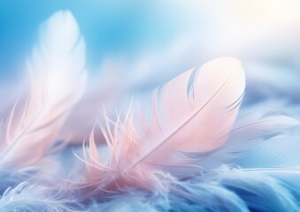 Naklejka premium pretty feather on a pastel colored background.