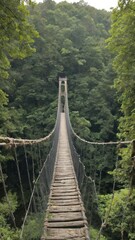 Fototapeta premium suspension bridge over the river