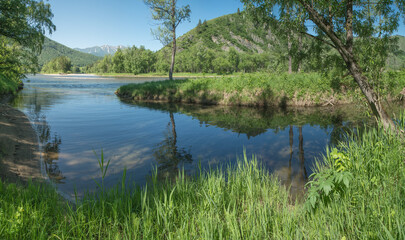 View of summer nature, calm river flow and green trees