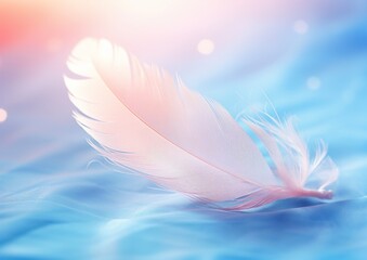 Naklejka premium pretty feather on a pastel colored background.