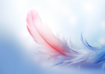 pretty feather on a pastel colored background.